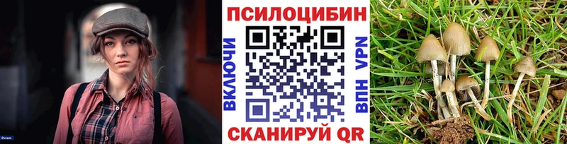 Купить  Сегежа  Галлюциногенные грибы ЛСД 