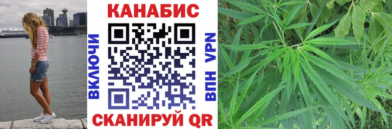 Бошки Шишки OG Kush  Купить где  Сегежа 